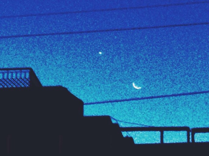 20140216-124410 am.jpg